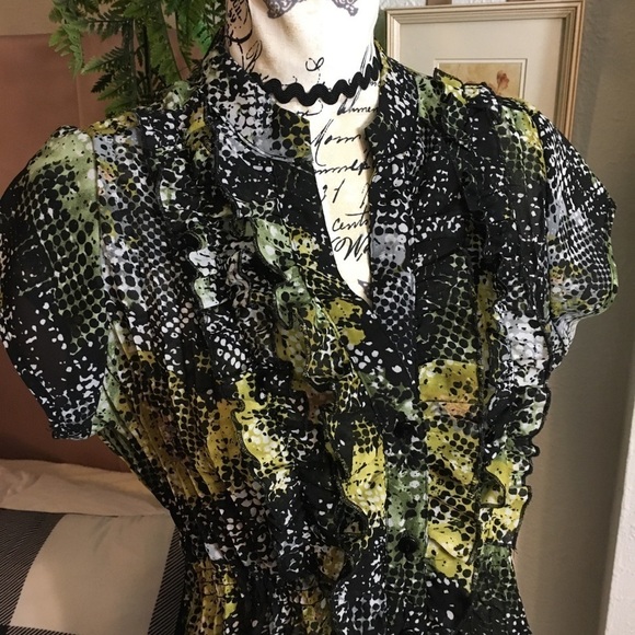 NY Collection button front ruffled chest blouse - Picture 4 of 7